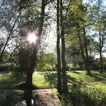 Holiday home Wildgans 54 *